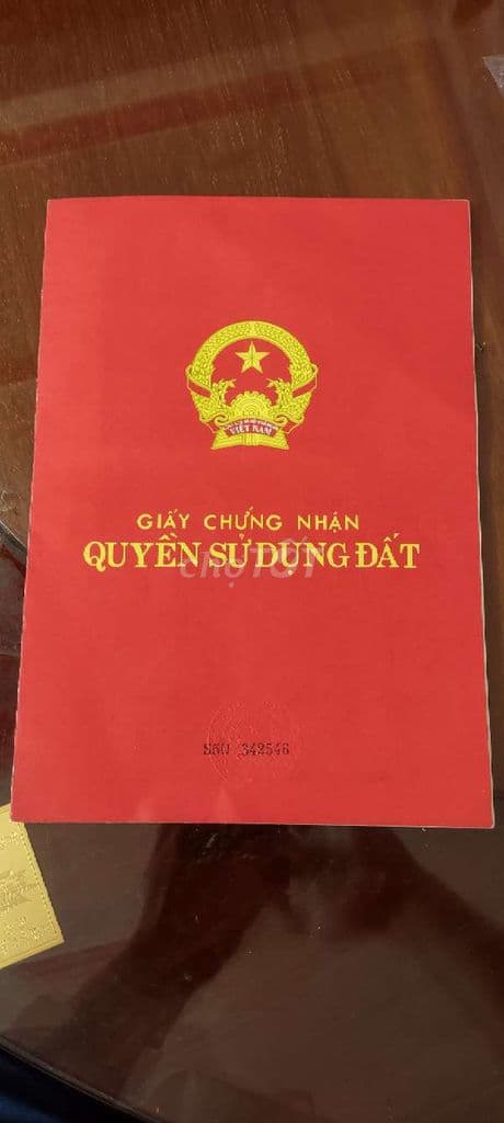 cần bán đất nông nghiệp xã Bình Hưng TPHCM