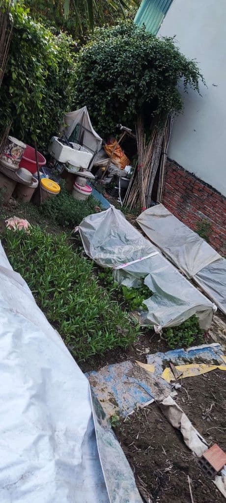 Bán mảnh đất vườn xen kẹt, xây được Nhà, tại Xuân Phương, Nam Từ Liêm - Ảnh 2