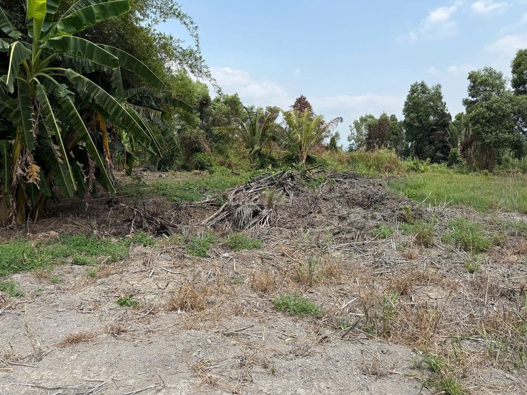 BÁN ĐẤT 1450m² GẦN KCN LÊ MINH XUÂN – GIÁ TỐT - Ảnh 3