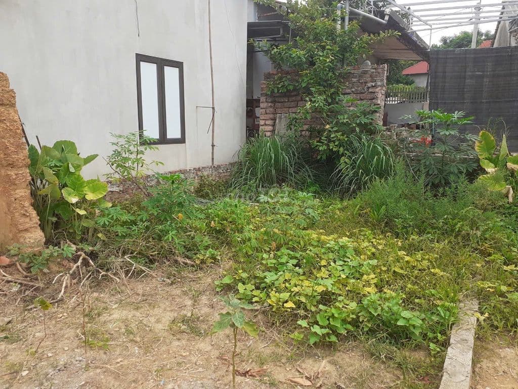 Chính chủ bán lô đất ở Sơn Tây có thương lượng - Ảnh 3