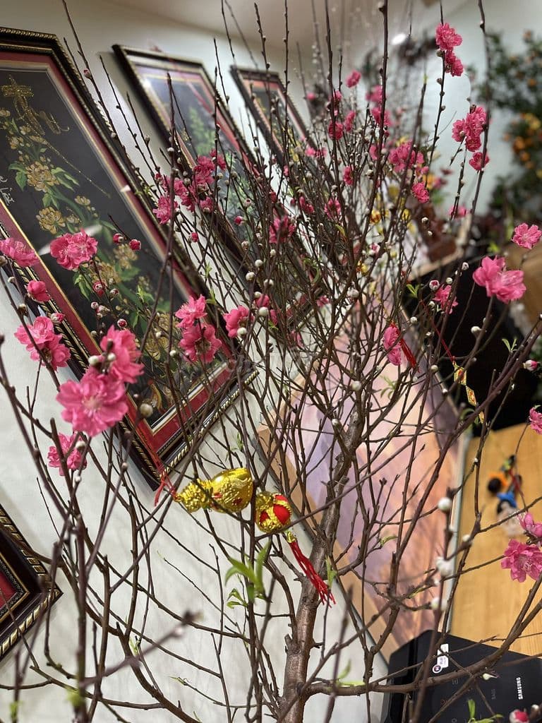 CHUNG CƯ CHÍNH CHỦ CT4 VĂN KHÊ - Ảnh 3