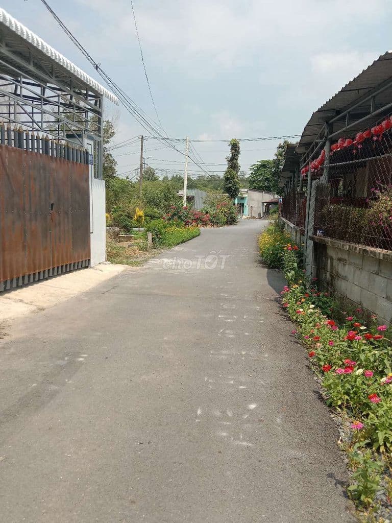 BÁN ĐẤT THỔ CƯ 1 ĐƯỜNG LÝ THỊ CHỪNG - Ảnh 2