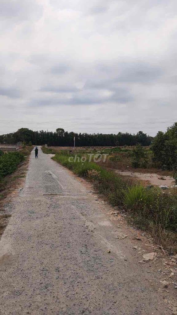 bán 2000m vườn sổ riêng mặt tiền đan xã tân nhựt