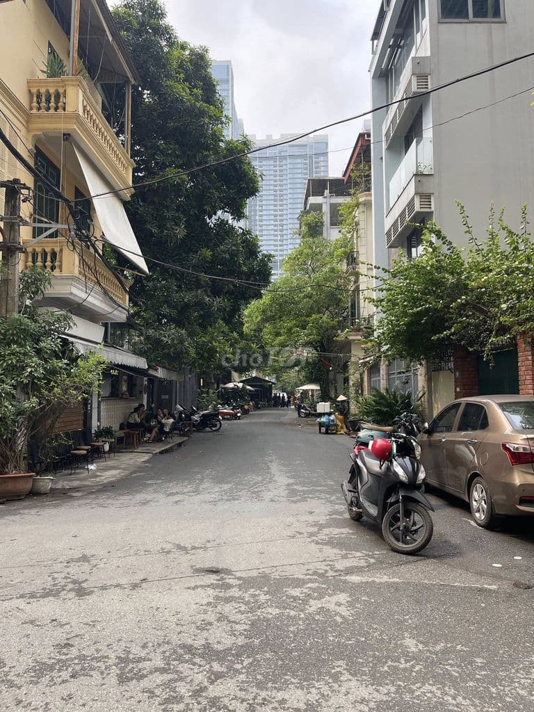 BT Liễu Giai,Ba Đình,siêu vip phân lô 120m,4 tầng,oto vào nhà,44 tỷ - Ảnh 3