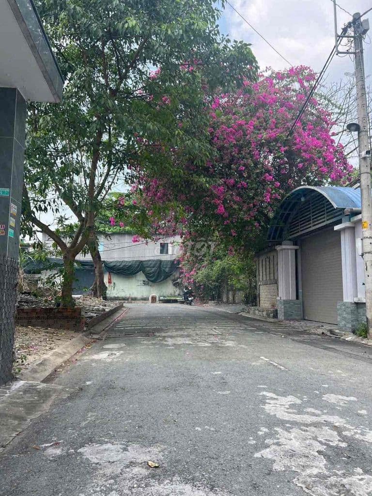 Chính Chủ Bán Đất Ngay Chợ Xuân Thới Thượng 5 x 14 Thổ Cư Giá 2,85 Tỷ - Ảnh 3