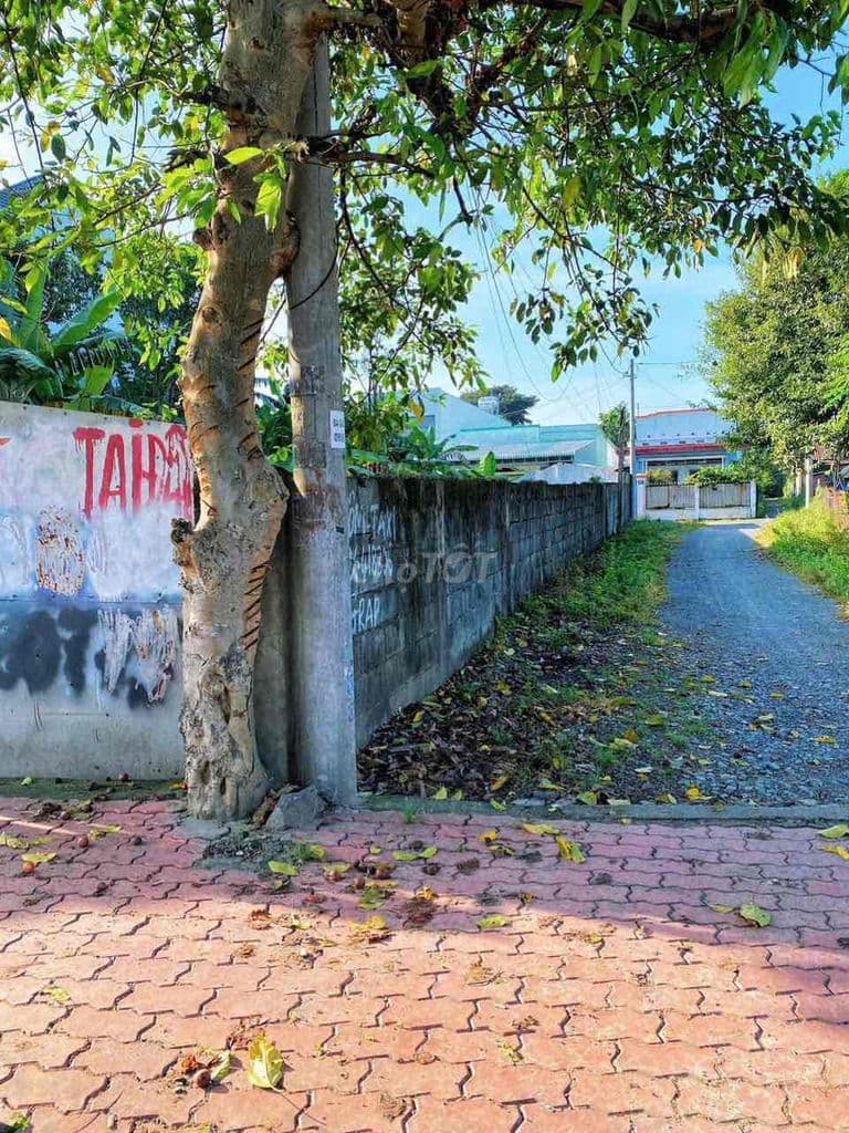 Đất MT Tỉnh Lộ 8(6x32m),full thổ,Hoà Phú,Củ Chi - Ảnh 2