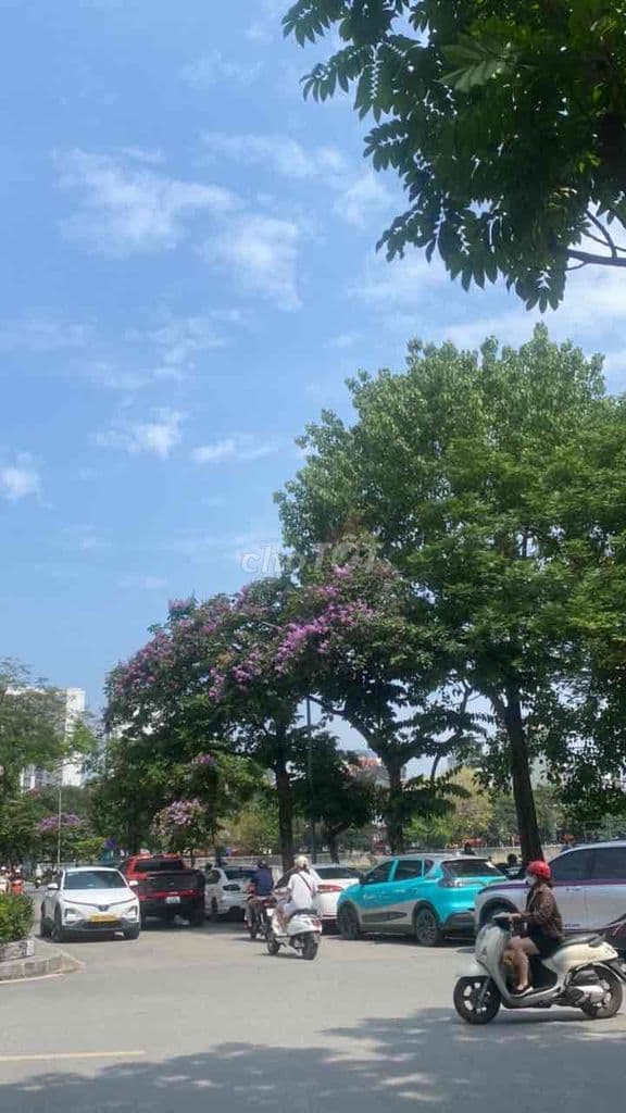 Bán căn hộ chung cư mi ni - Ảnh 2