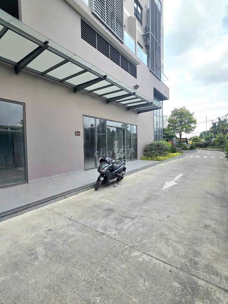 Bán căn hộ TMDV Shophouse 116.3m2 giao thô, The Pegasuit 2 - Ảnh 3