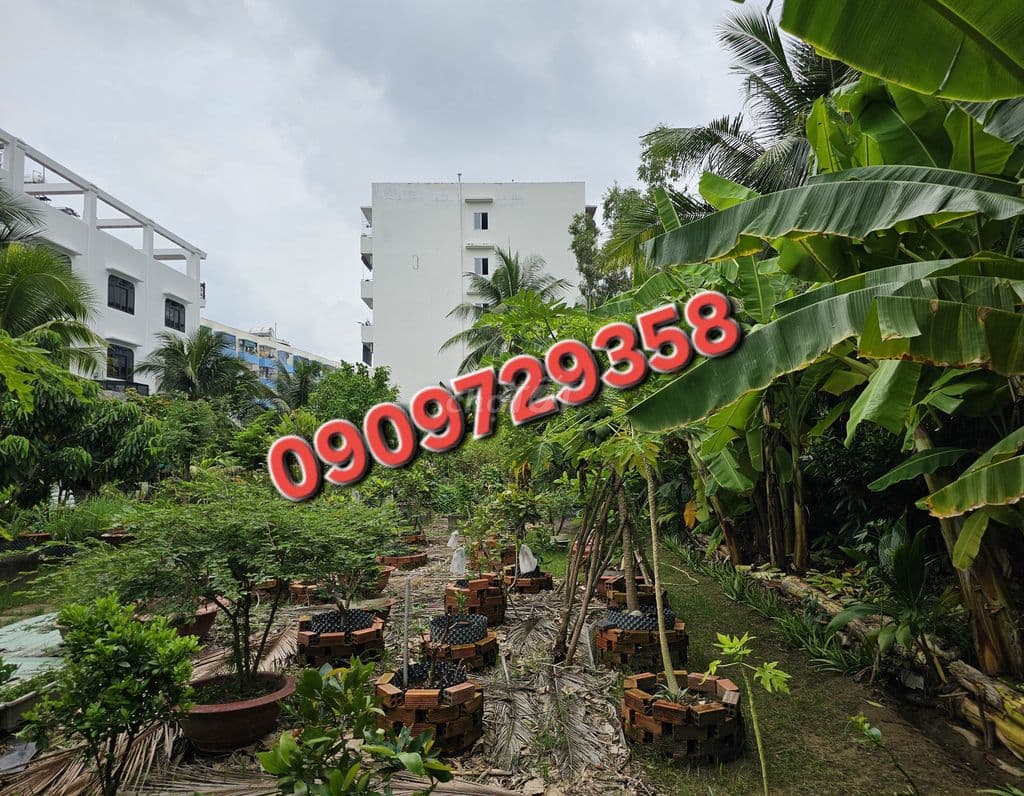 Mặt tiền Lê Tấn Bê - Đất đẹp - 188 tỷ