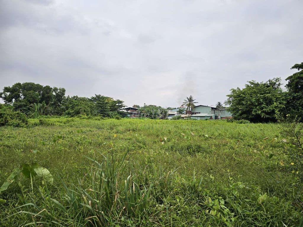 Đất Nông Nghiệp - Đất Ở Dân Cư Nông Thôn Xây Dựng Mới - Ảnh 3