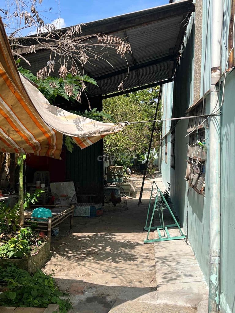 cần chuyển nhượng nhà xưởng - Ảnh 3