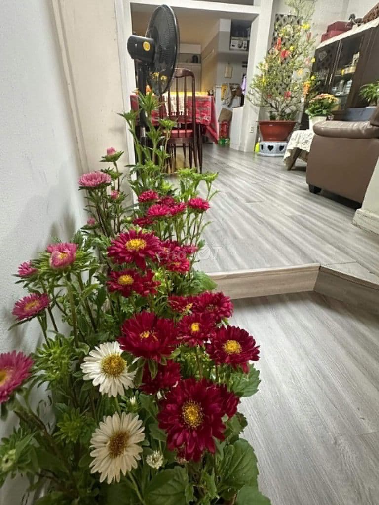 Bán nhà mặt tiền đường nội bộ Cư xá Chu Văn An, P.Bình Thạnh - Ảnh 2