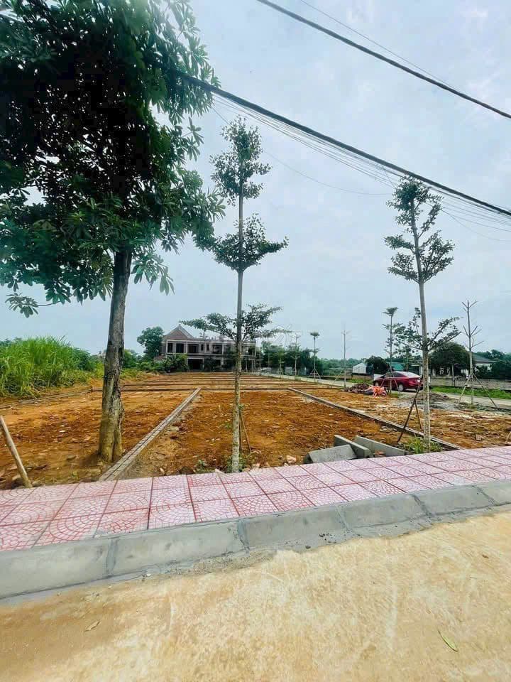 CHƯA ĐẾN 3 TỶ SỞ HỮU HƠN 100M2 FULL THỔ CƯ MẶT TIỀN 6M TẠI PHÚ CÁT - Ảnh 3