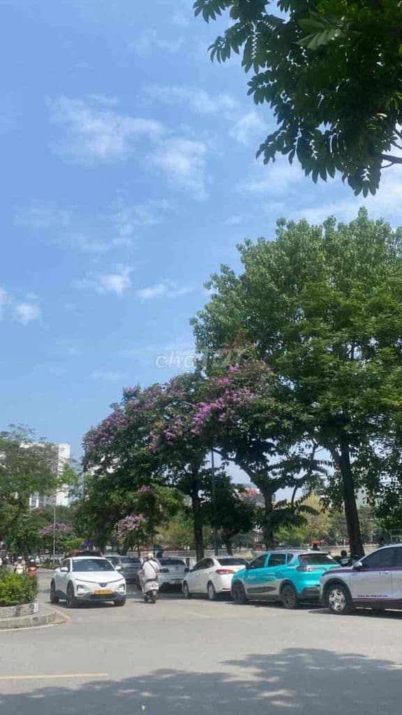 Bán căn hộ chung cư mi ni - Ảnh 3