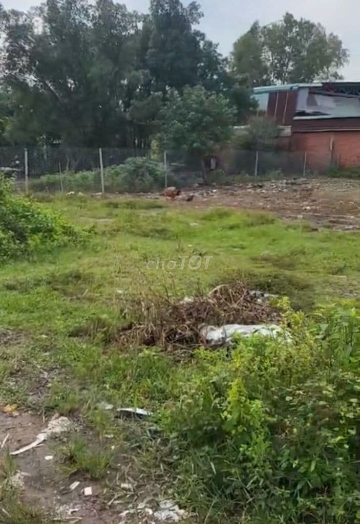 000M2 ĐẤT HAI MẶT TIỀN – KÊNH TRUNG ƯƠNG, CHỦ GIẢM 2 TỶ - Ảnh 3