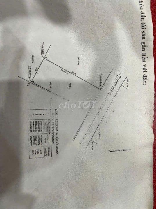 Bán đất Long Trường 247m2 ngang 10m hẻm xe hơi 7m