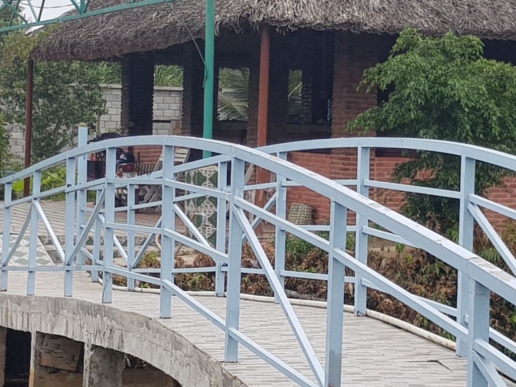 Đất cây lâu năm sát Vành Đai 3 cơ hội đầu tư sinh lời (Chính chủ). - Ảnh 3