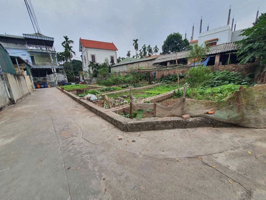 Bán 48m đất xen kẹt siêu đẹp xã Đại Thanh, ngõ rộng, vị trí đẹp