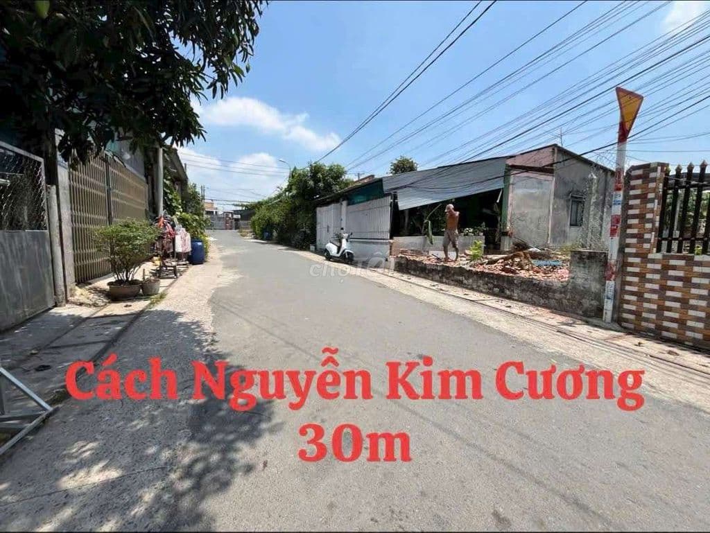 ĐẤT BÁN GẤP XÃ TÂN THẠNH ĐÔNG. CỦ CHI.TPHCM - Ảnh 2
