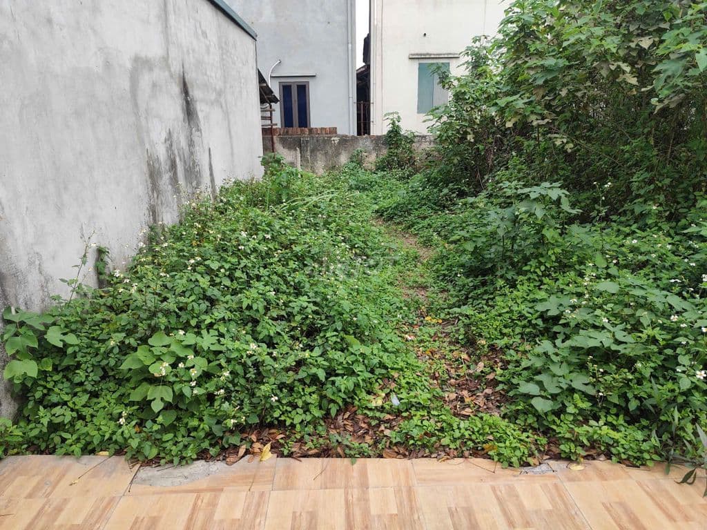 Cc gửi bán lô đất Bình Minh, 20m ra ngõ ô tô, DT41m giá 2ty5