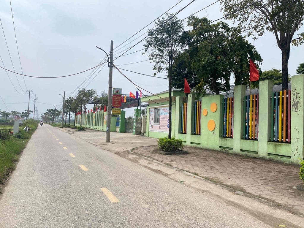 Bán đất 53m2, hàng xóm Vin Cổ Loa, Cầu Tứ Liên - Ảnh 2