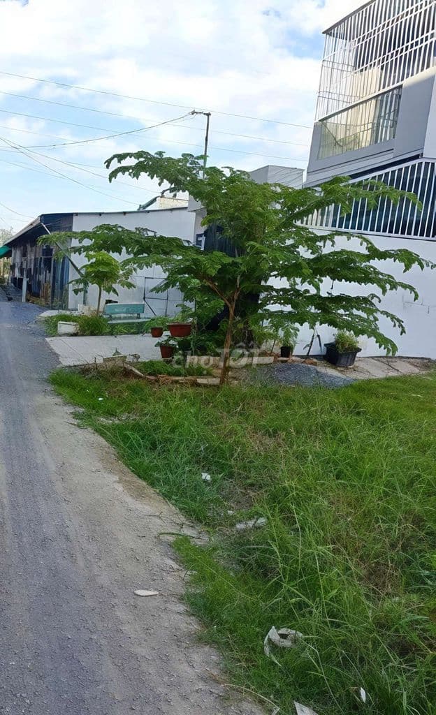 ĐẤT FULL THỔ CƯ QL1A AN PHÚ ĐÔNG Q12 – 100M² – NGANG 5,4M 💸 4,75 TỶ - Ảnh 2