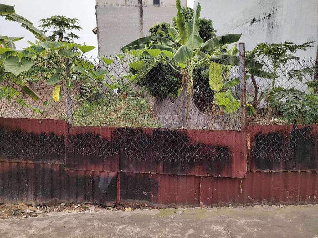 99 m2 Thế Trạch, Sóc Sơn, 3 tỷ