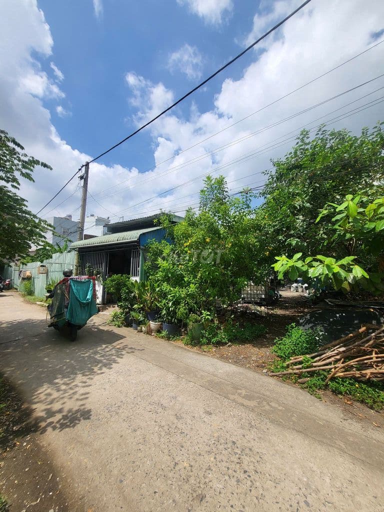 Nhỉnh 40tr/m2, hẻm xe hơi, 5x30 nở hậu 8m. Trường Thọ, Thủ Đức - Ảnh 3