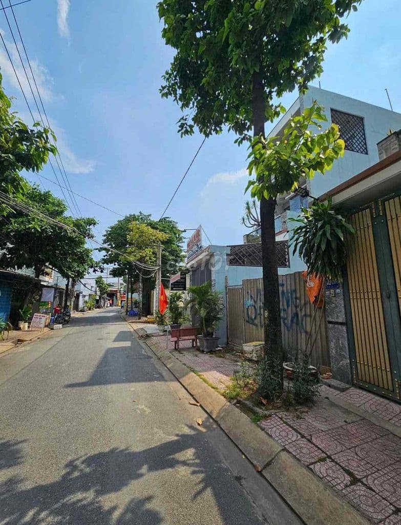 🔥ĐẤT MT Nhựa 12m Thông-5X20m-1 Xẹc Phan Văn Hớn Vào 80m - Ảnh 2