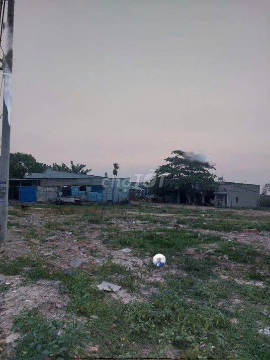 Bán đất 465m2 (15m x 31m) đường Phan Văn Hớn, Hóc Môn có 300m2 đất ở - Ảnh 3