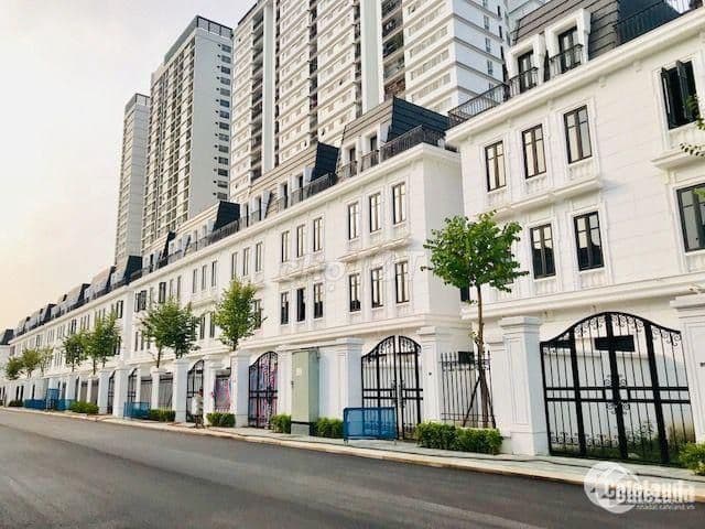 Bán shophouse VIP mặt đường 60m Hoàng Minh Thảo kéo dài S 102m2 xây 6T