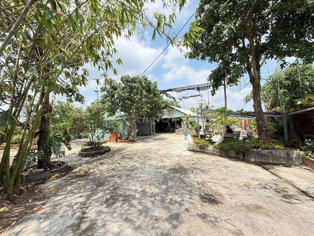Bán Đất Nhà Vườn HócMôn - Ảnh 3