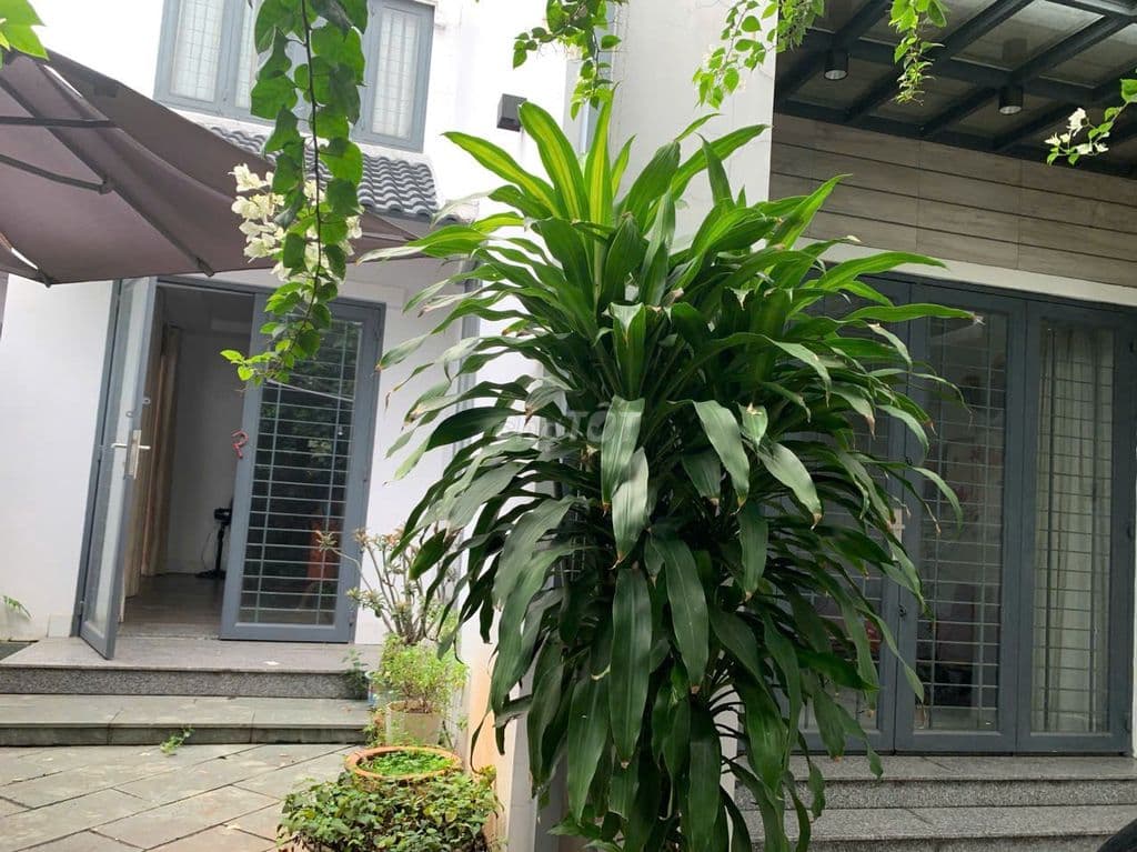 BÁN NHANH NHÀ VƯỜN ĐẸP TÔ NGỌC VÂN LINH ĐÔNG THỦ ĐỨC CHỈ NHỈNH 12 TỶ - Ảnh 2