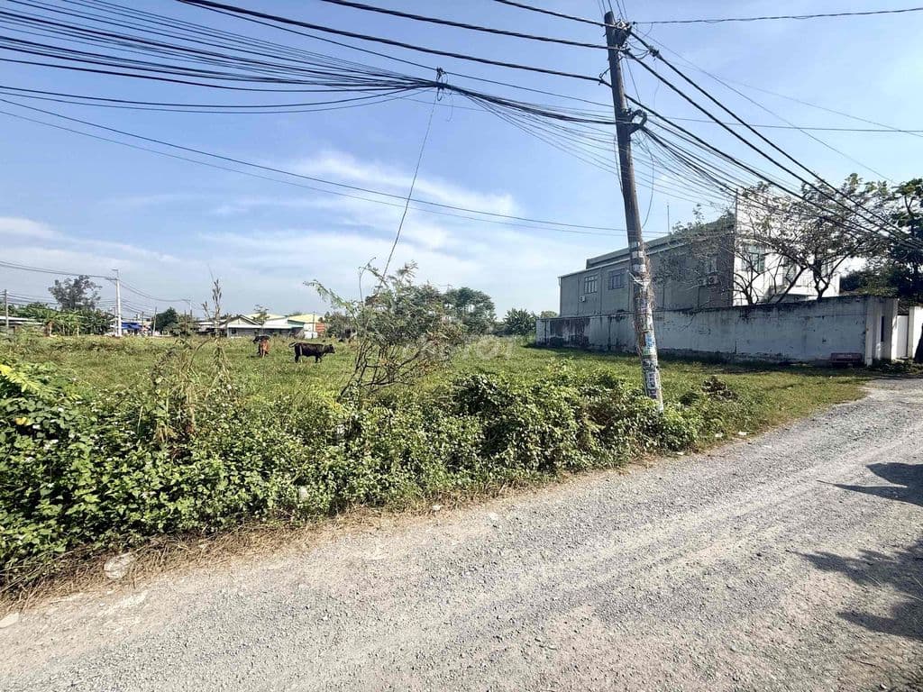 Đất 24x45m . Xuân Thới Sơn 16 . Dương Công Khi & Nguyễn Văn Bứa - Ảnh 2