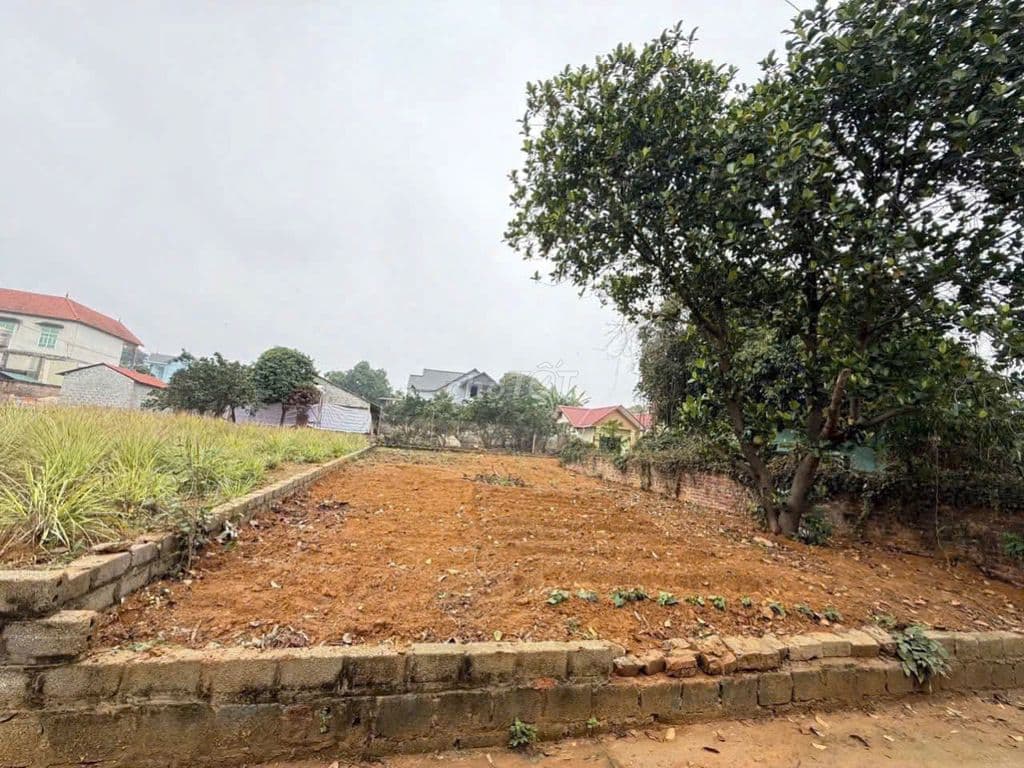 BÁN ĐẤT THỔ CƯ HOÀ LẠC, 103M2 TRỤC CHÍNH ĐƯỜNG LIÊN XÃ. - Ảnh 2