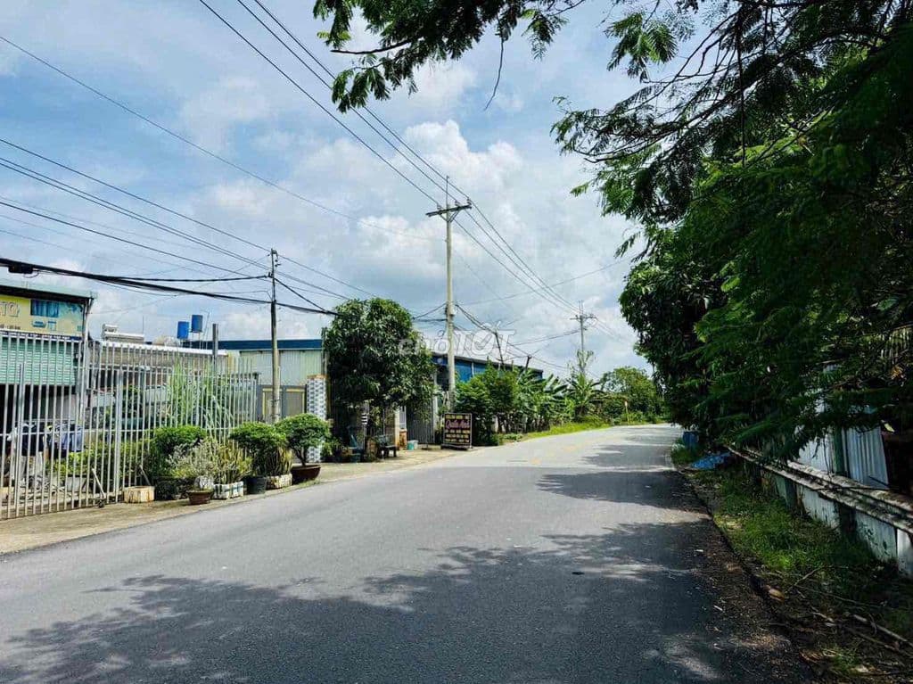 🔥 CHÍNH CHỦ CẦN BÁN LÔ ĐẤT - 850TR - 120M2 - TÂN AN HỘI, CỦ CHI - Ảnh 3