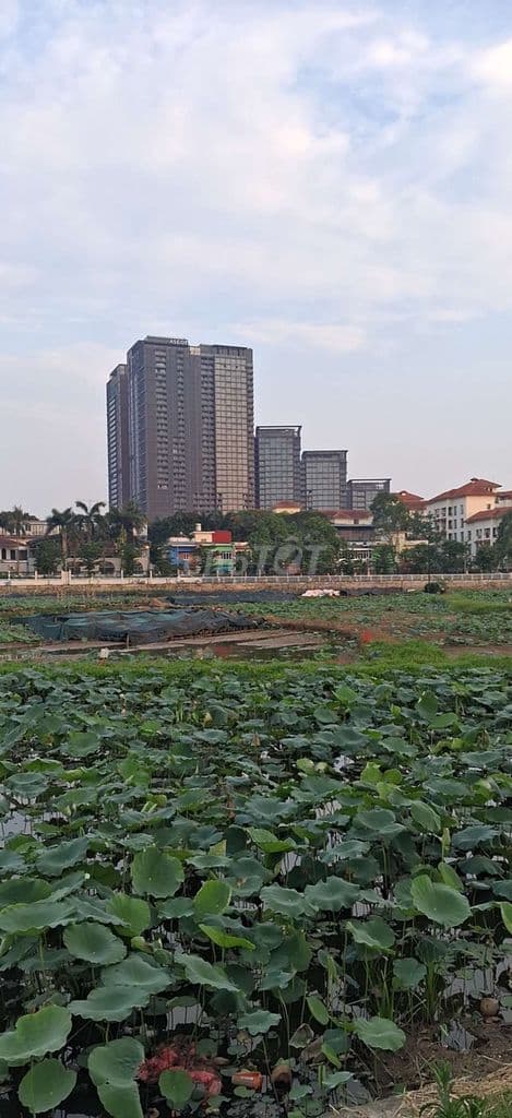 Bán Nhà Mặt Phố Ngọc Lâm,70M,6 Tầng - Ảnh 3