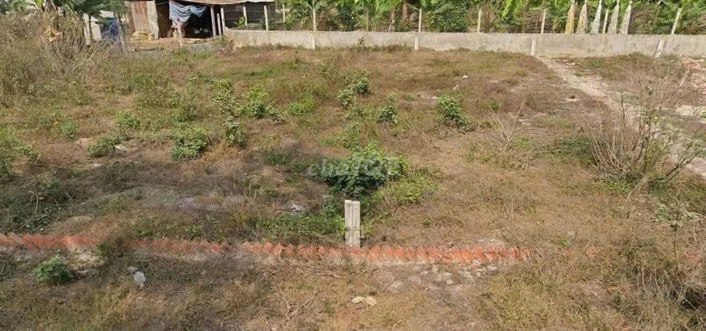 Bán ngấp 1/ Tỉnh Lộ 7, 99m2 Trung Lập Hạ - 895tr công chứng liền - Ảnh 3