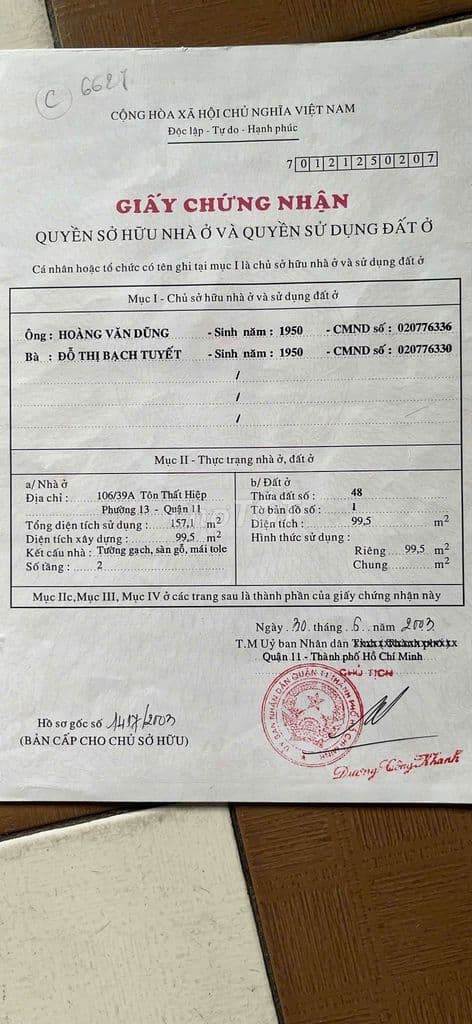 đất mặt tiền hẻm xe hơi tôn thất hiệp - Ảnh 3