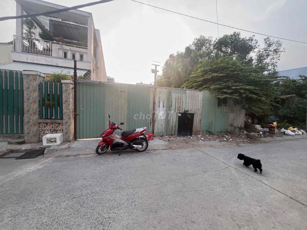 141m2 mặt hẻm 387 phạm hữu lầu. giá 55tr/m2 - Ảnh 3