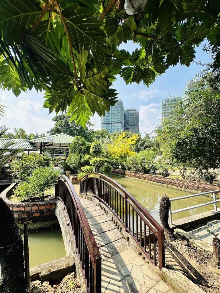 NHÀ VƯỜN GẦN HAI NGÀN M2 GIỮA SÀI GÒN HOA LỆ - Ảnh 2