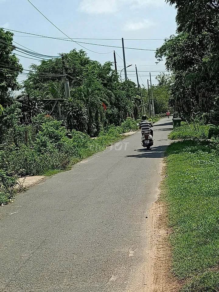 Chủ định cư xa,cần bán gấp-Đường 648,Thái Mỹ,DT190m2,750tr, SHR,thổ cư - Ảnh 2