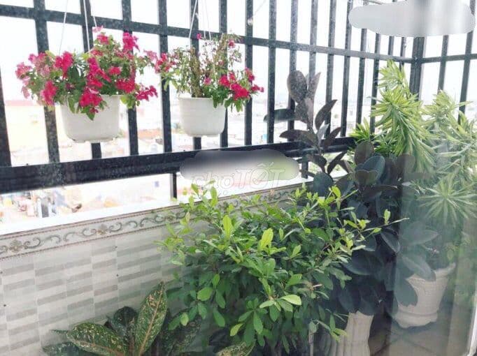 Tôi cần bán gấp căn hộ ở chung cư Him Lam Nam Khánh, Quận 8 - Ảnh 3