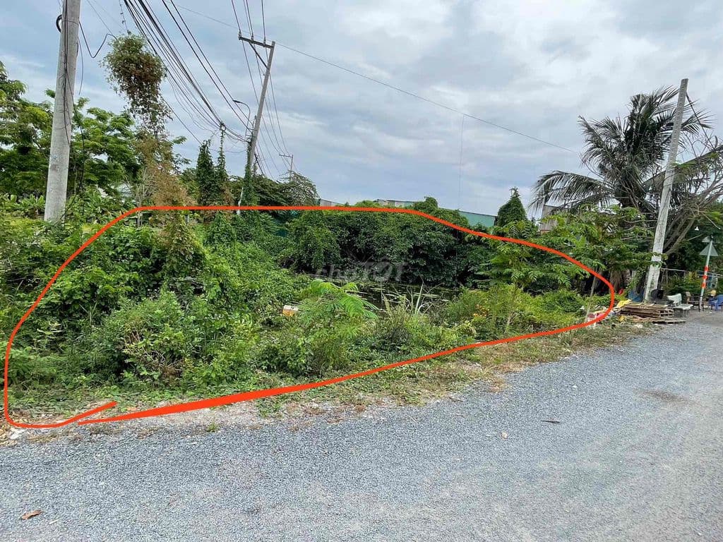 ĐẤT BÌNH CHÁNH SỔ HỒNG RIÊNG ĐẤT AO NUÔI CÁ - Ảnh 3