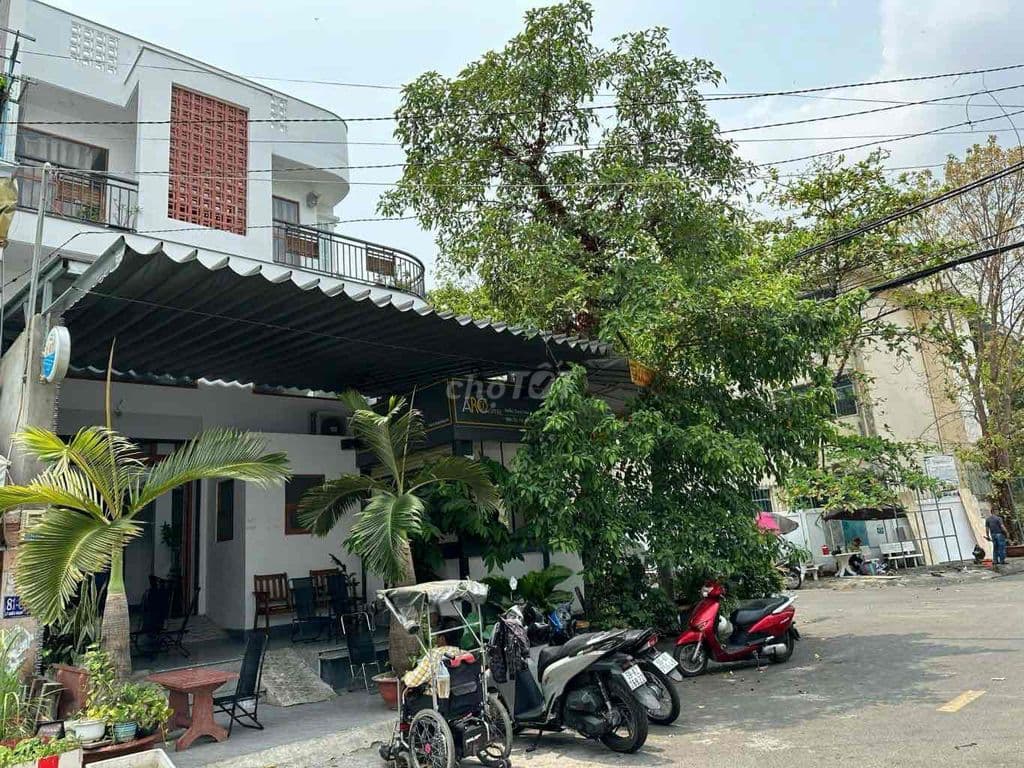 NGAY LÝ CHIÊU HOÀNG-CĂN GÓC HIẾM-Ở VA KINH DOANH ĐỈNH - Ảnh 2