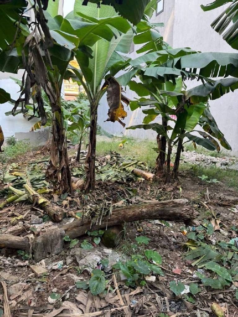 💥 BIÊN GIANG – HÀ ĐÔNG | 40M² GIÁ CHỈ NHỈNH 2.98 TỶ 💥