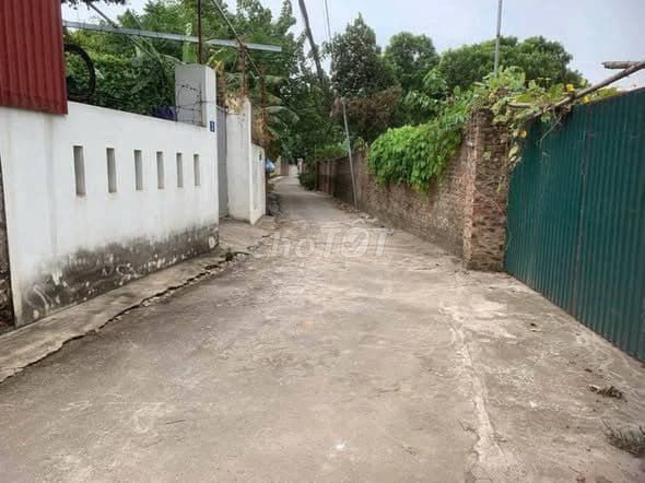 bán lô đất 60m tại Trung Giã, đẹp, giá tốt - Ảnh 2