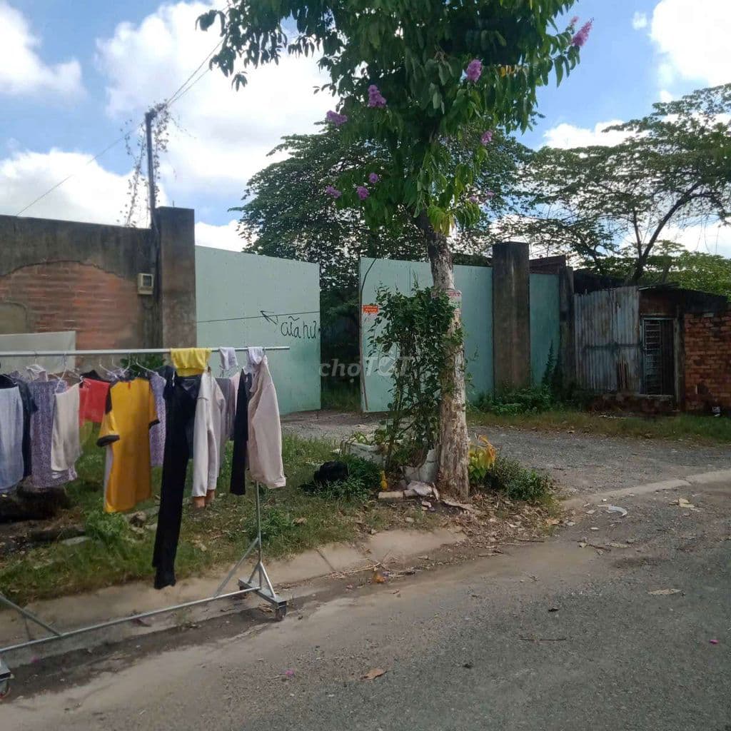 Bán đất thổ cư xã Xuân Thới Sơn TP HCM - Ảnh 2