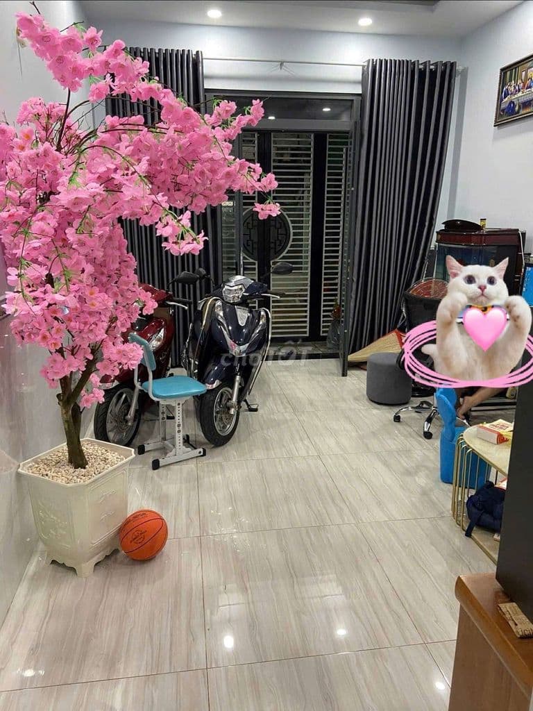 HÀNG HIẾM GÒ VẤP – 50M2 – XE HƠI TẬN CỬA – CHỈ HƠN 5 TỶ CHỐT NGAY - Ảnh 3