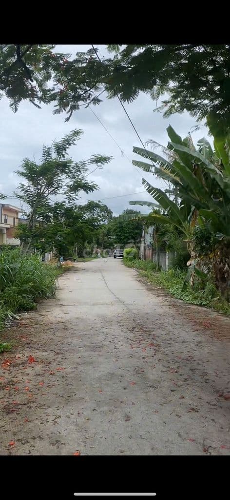 Cần bán gấp lô đất tại Vĩnh Phước An, Củ Chi giá chỉ 650 triệu, SHR - Ảnh 2